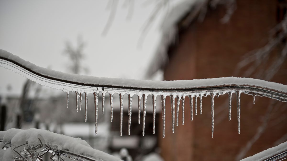 Post Winter Freeze Home Checklist