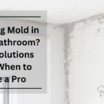 Battling Mold in Your Bathroom? DIY Solutions and When to Hire a Pro