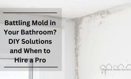 Battling Mold in Your Bathroom? DIY Solutions and When to Hire a Pro