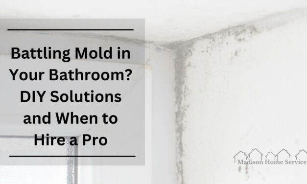 Battling Mold in Your Bathroom? DIY Solutions and When to Hire a Pro