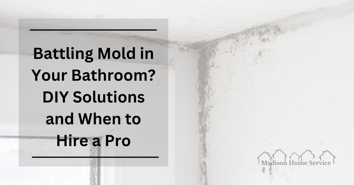 Battling Mold in Your Bathroom? DIY Solutions and When to Hire a Pro